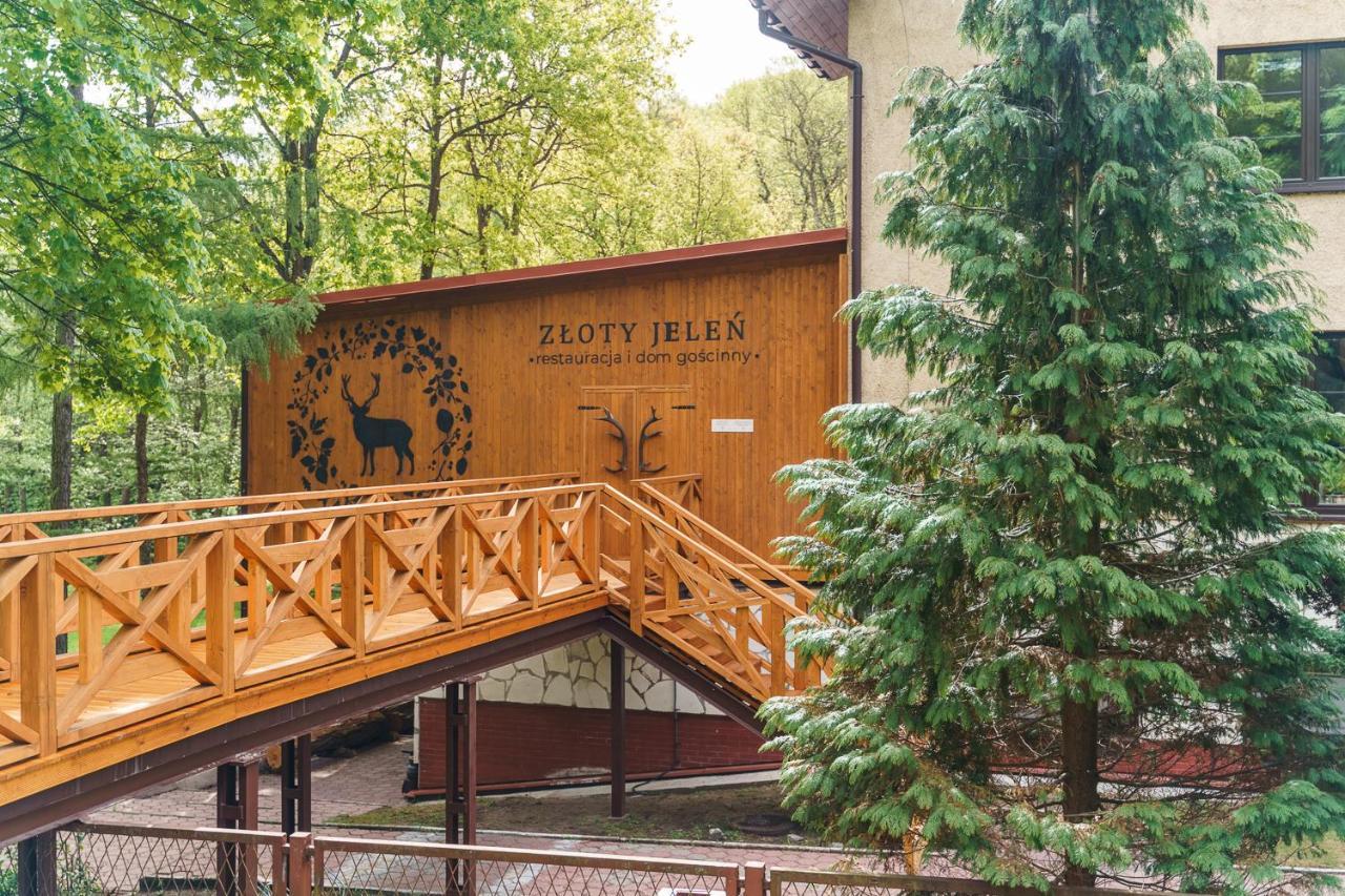 Zloty Jelen - Restauracja I Dom Goscinny Potok Zloty Экстерьер фото